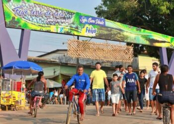 Feijó decreta ponto facultativo e feriado durante Festival do Açaí