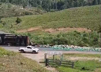 Carreta tomba e carga fica espalhada na BR-364, entre Sena Madureira e Manoel Urbano