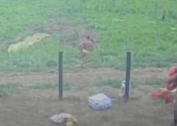Câmeras registram indígenas isolados saindo de residência em ramal de Jordão, no interior do Acre
