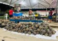 Tarauacá recebe 2ª Feira do Abacaxi e Agricultura Familiar com exposição de produtos e escolha do maior abacaxi